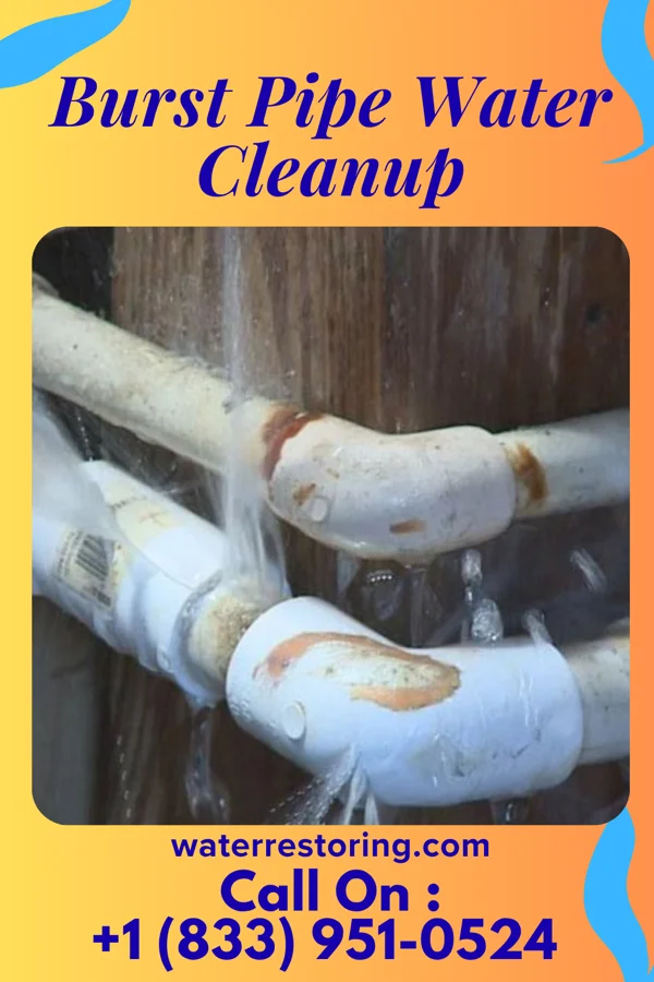 Burst Pipe Water Cleanup in Minnetonka, MN