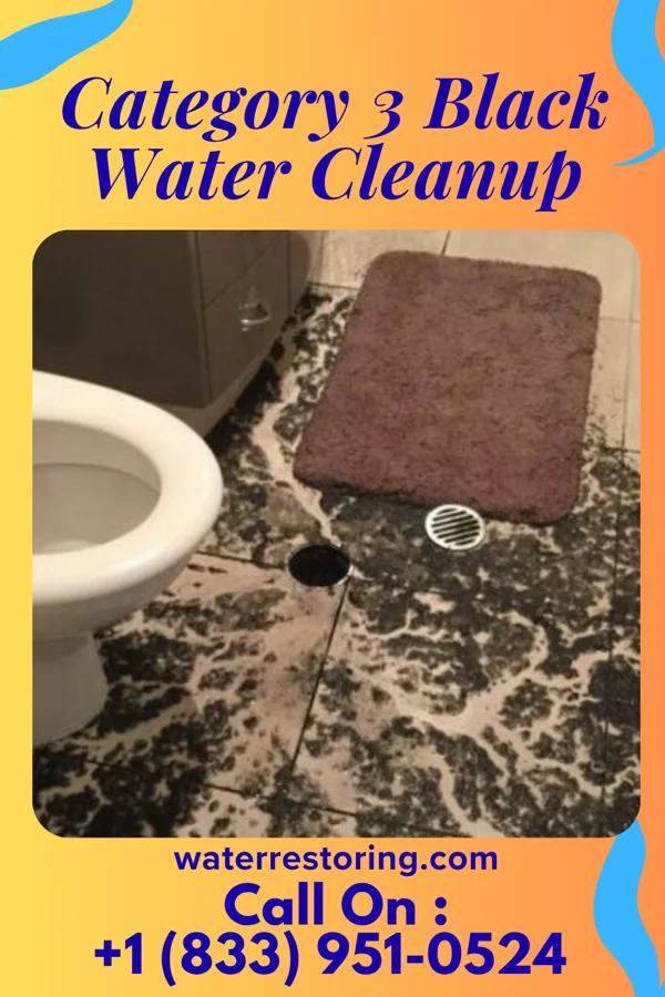 Category 3 Black Water Cleanup in Minnetonka, MN