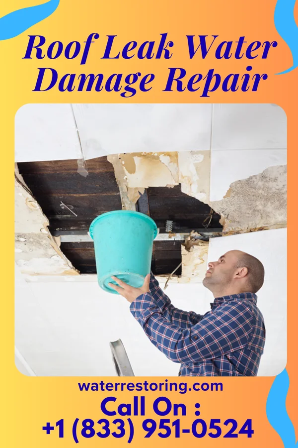 Roof Leak Water Damage Repair in Minnetonka, MN